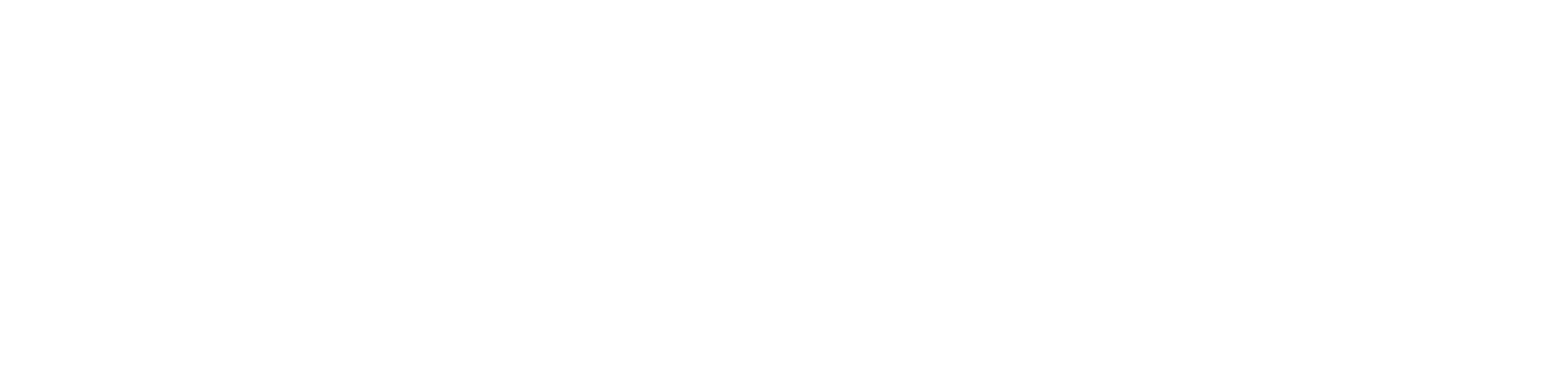 logo footer
