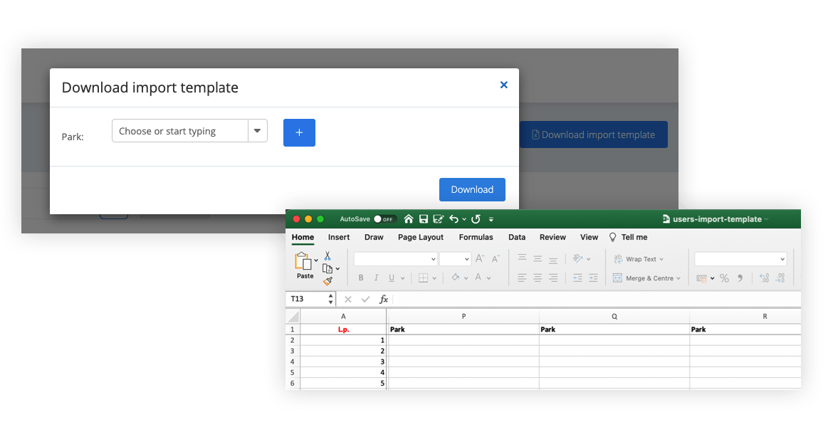 import-template-singu